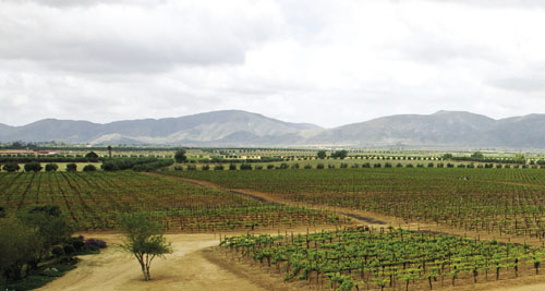 Monte Xanic, en el Valle de Guadalupe