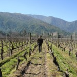 chile_1 chile_1