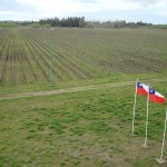 chile_casanueva Viña Casanueva, en el Valle de Itata, una de las regiones vitícolas más sureñas de Chile