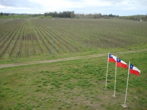 chile_casanueva