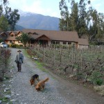 chile_corcorangallery Xavi en sus dominios: Corcoran Gallery
