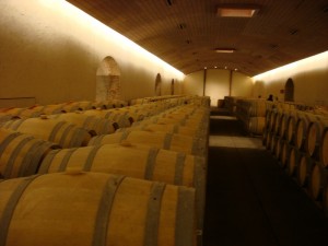 chile_cytorobodega área de bodegas de Concha y Toro