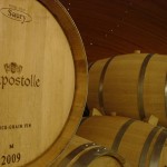 chile_lapostolle Casa Lapostolle se encuentra en el Valle de Apalta, en Colchagua