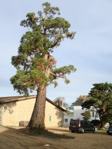 Château Dauphiné-Rondillon