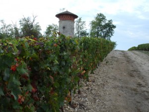Chateau Lanessan