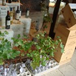 SE_aparador con plantas
