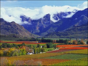 Robertson Wine Valley_Rio Hex