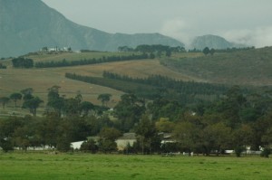 Sudafrica4_Vergelegen