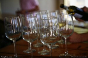 Vendimia 2010 Vendimia 2010