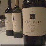 Sophenia Synthesis - The Blend. De lo mejor de la expo.