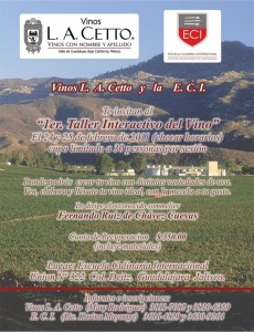 tallercetto