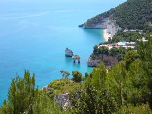 BaiadelleZagare8VicinoPugnochiuso1