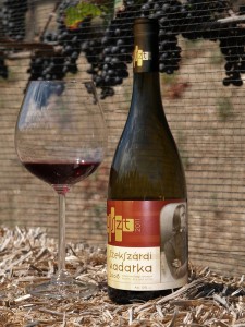 Liszt2011Vino Liszt2011Vino