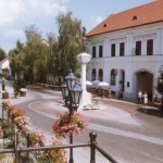 TokajCentro1