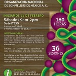 promoDiplo