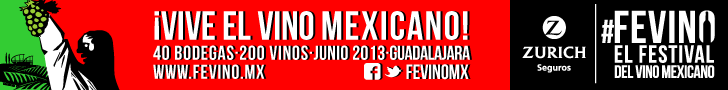 Banner FEVINO