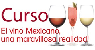 Curso de vino mexicano (Guadalajara, México).