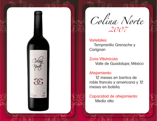Cata virtual de los vinos de Viñas de Garza.