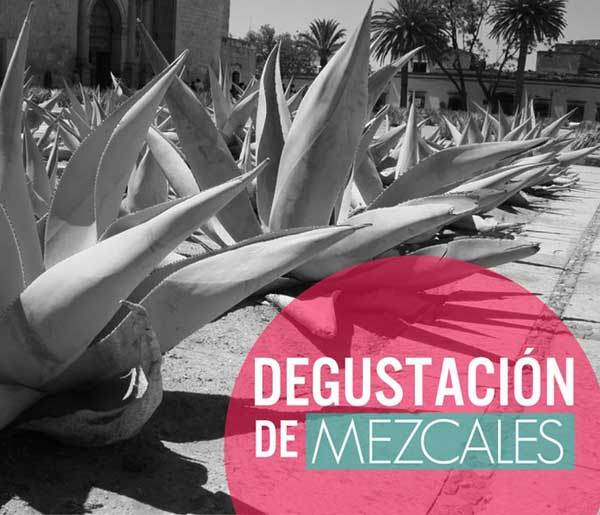 Degustación de Mezcal con Tapas en La Contra Guadalajara