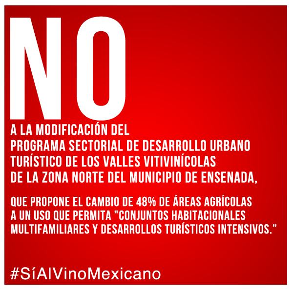#SíAlVinoMexicano – No al cambio indiscrimado del uso de suelo en el Valle de Guadalupe.
