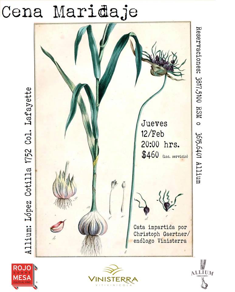 #GDL: Cena Maridaje – Vinisterra en Allium